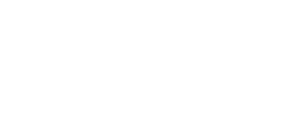 Nonstandard: struck-through STANDARD wordmark